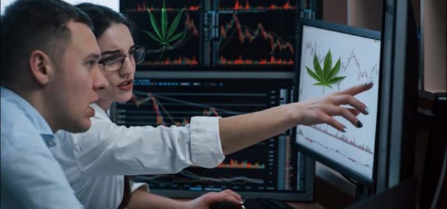 Best Marijuana Penny Stocks Under $1 To Watch Before New Years