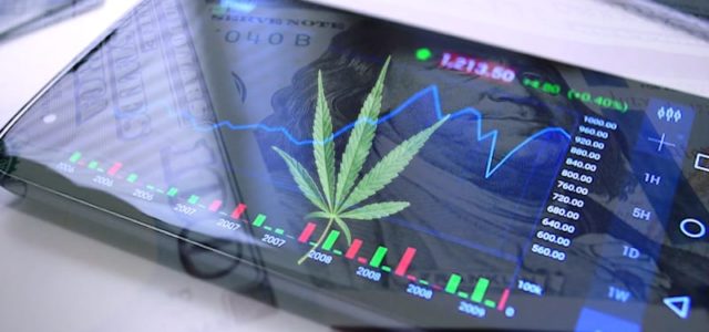 Best Pot Stocks To Watch In December 2020