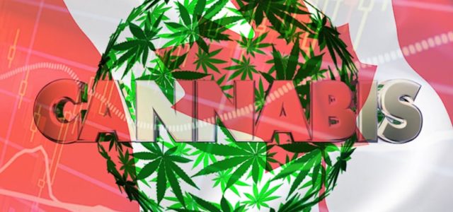 Can You Make Money With These Canadian Marijuana Stocks?