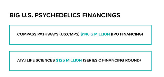 Capital, Compounds and Clinics: Why 2021 Will Be A Stellar Year For Psychedelic Stocks