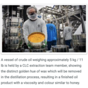 CLC Enters Sales and Marketing Phase Producing First Commercial Cannabis-Derived Crude Oil, and Introduces Two Extraction Specialists