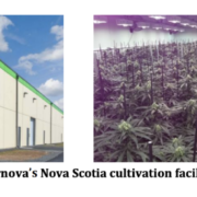 Creso’s Canadian subsidiary Mernova secures new purchase orders and expands into Canada’s largest recreational market