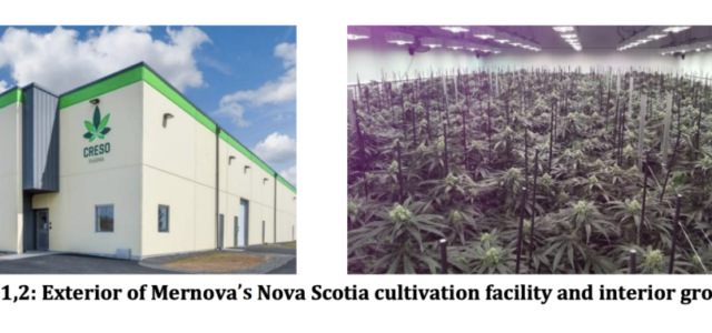 Creso’s Canadian subsidiary Mernova secures new purchase orders and expands into Canada’s largest recreational market