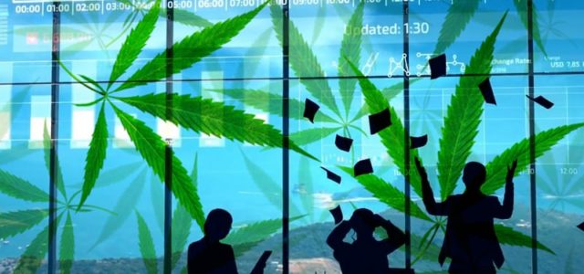 Do These Marijuana Stocks Have Growth Potential In 2021