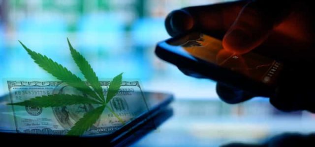 Do You Have These Cannabis Stocks On Your Watchlist? Pot Stocks To Watch For 2021