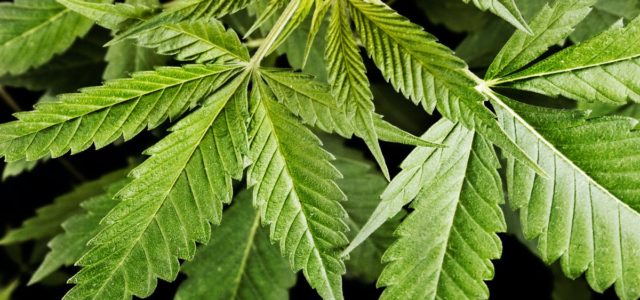 House of Representatives to vote on marijuana legalization bill