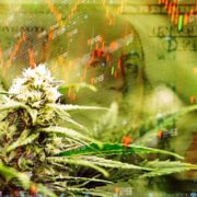 Looking For Marijuana Stocks To Invest In? 2 Cannabis Stocks To Watch Next Week