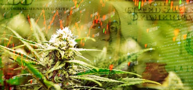 Looking For Marijuana Stocks To Invest In? 2 Cannabis Stocks To Watch Next Week