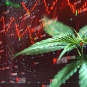 Making A List Of Cannabis Stocks to Watch For 2021? 2 Pot Stocks To Watch In December
