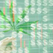 Making A Marijuana Stock Watchlist For 2021? 2 Top Cannabis Stocks To Watch Right Now