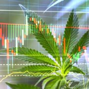 Marijuana Stock Recap: 3 Cannabis Stocks To Watch This Week