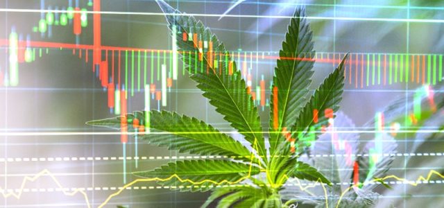 Marijuana Stock Recap: 3 Cannabis Stocks To Watch This Week