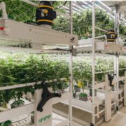 Michigan growing-rack producer acquires ventilation company for optimum air flow in vertical cultivation