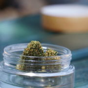 New Jersey Lawmakers Send Marijuana And Psilocybin Bills To Governor