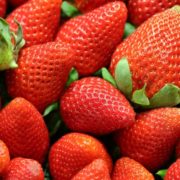Study: CBD oil could extend strawberries’ shelf life