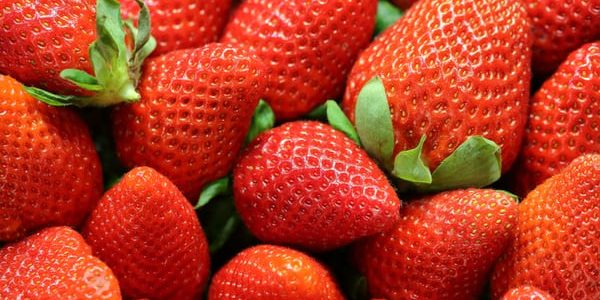Study: CBD oil could extend strawberries’ shelf life