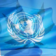 The UN Passes Recommendation 5.1