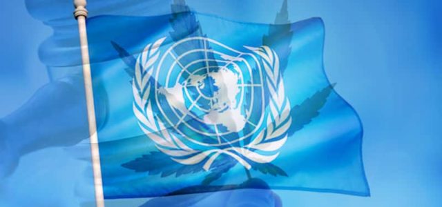 The UN Passes Recommendation 5.1