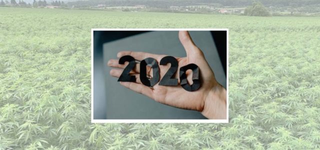 Top 10 hemp business stories of 2020, chosen by Hemp Industry Daily readers