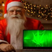 Top 5 Marijuana Stocks To Watch For A Santa Claus Rally