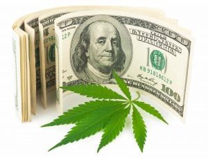 U.S. Marijuana Stocks Doubling in Value—And It’s Not Too Late to Profit