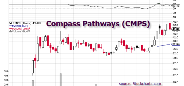 Will ATAI’s IPO Help Or Hurt Compass Pathways?