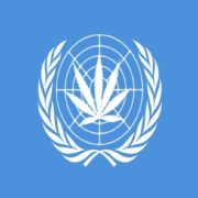 Will The UN Make Global Cannabis History With Its Up Coming Vote?