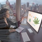 Will These 2 Top Marijuana Stocks See Gains This Week?