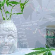 Will These Top Marijuana Stocks Survive Another Year In The Cannabis Industry?