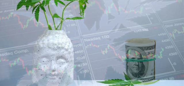 Will These Top Marijuana Stocks Survive Another Year In The Cannabis Industry?