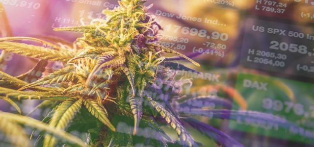 Would These Marijuana Stocks Make Your Watchlist