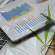 Would You Add These 2 Marijuana Stocks To Your Portfolio?