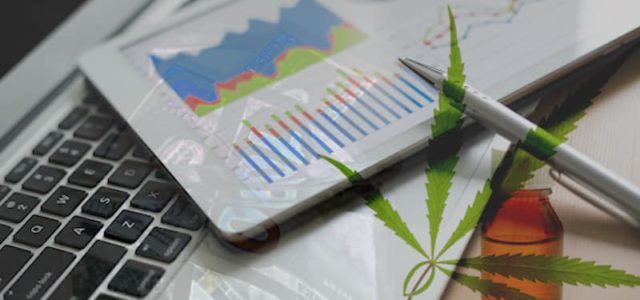 Would You Add These 2 Marijuana Stocks To Your Portfolio?