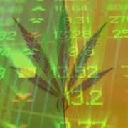 Would You Invest In These Marijuana Stocks?