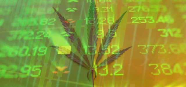 Would You Invest In These Marijuana Stocks?