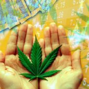 2 Marijuana Stocks To Watch That May Be Top Gainers In 2021