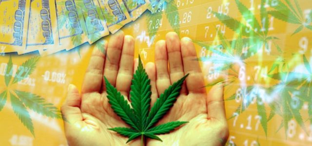 2 Marijuana Stocks To Watch That May Be Top Gainers In 2021