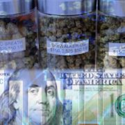 3 Marijuana Stocks To Watch For More Upward Momentum