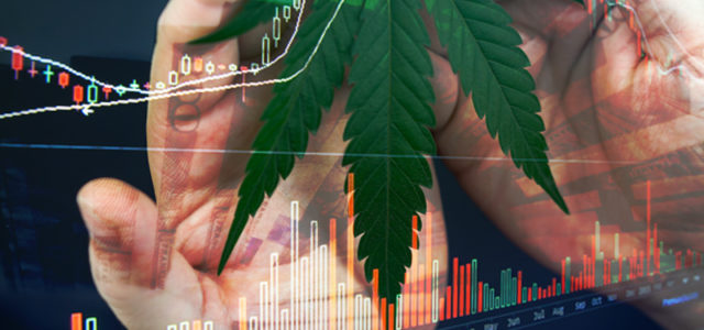 3 Marijuana Stocks To Watch Next Week