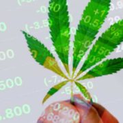 Are The Marijuana Stocks On Your Watchlist This Month