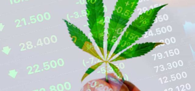 Are The Marijuana Stocks On Your Watchlist This Month