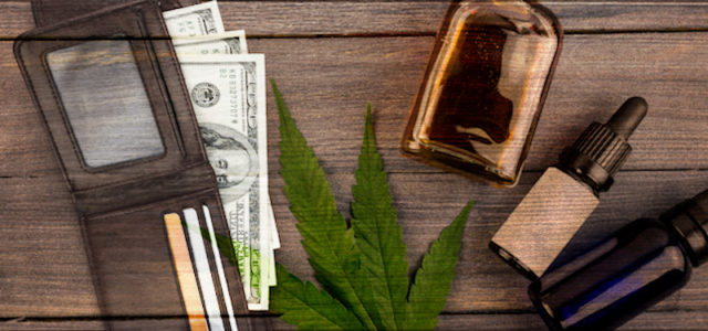 Are These 2 CBD and Accessory Pot Stocks On Your Watchlist For 2021?