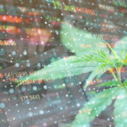 Are These Canadian Marijuana Stocks On Your 2021 Watchlist?