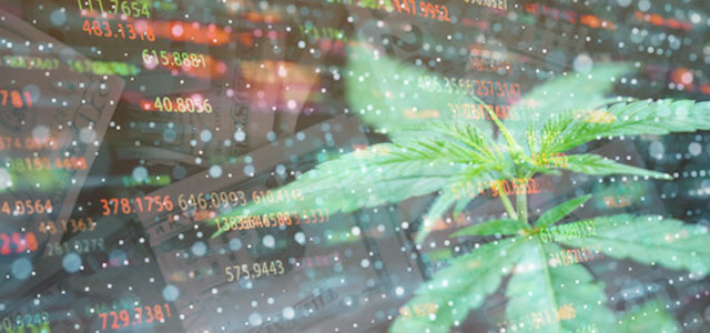 Are These Canadian Marijuana Stocks On Your 2021 Watchlist?