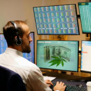 Are These Cannabis Stocks Good For Long-Term Investing? 2 Top Pot Stocks With Dividends For Shareholders