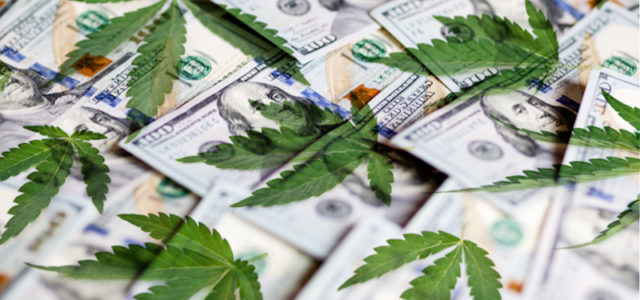 Are These Pot Stocks Going To See Momentum In 2021?