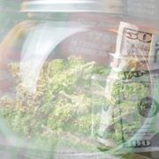 Are These The Best Marijuana Penny Stock To Buy Under $2?