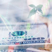 Are These The Best Marijuana Stocks To Buy Under $2? 2 Pot Stocks To Watch For February 2021