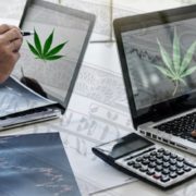 Are These The Top Marijuana Stocks For 2021? 2 Pot Stocks With Big Gains This Week