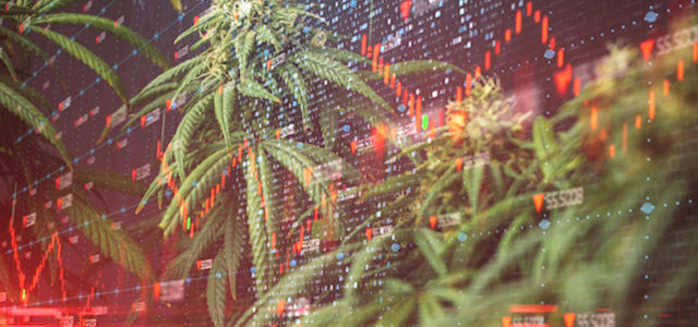 Are These The Top Marijuana Stocks To Watch In 2021?